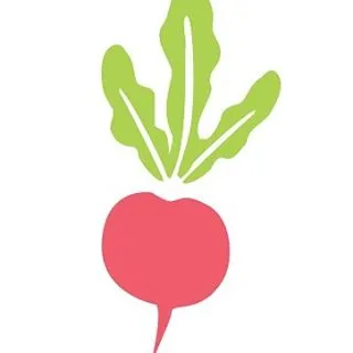 Raddish Kids discount code